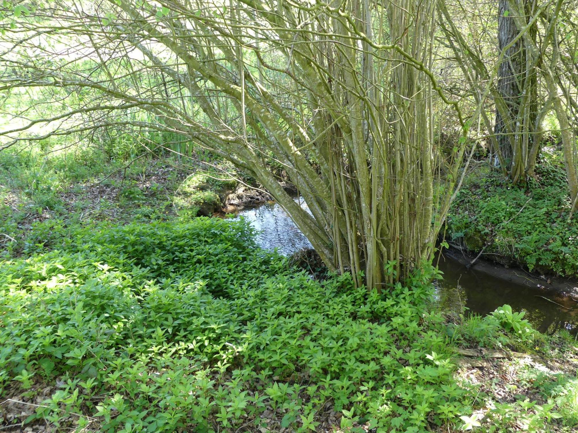 Les Tregorines-Squibernevez Villa Pédernec Buitenkant foto